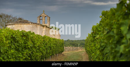Vineyard and old church Sunrise - Landscape - Bordeaux Vineyard Stock Photo