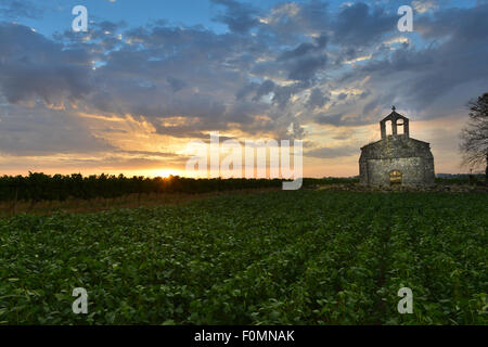 Vineyard and old church Sunrise - Landscape - Bordeaux Vineyard Stock Photo