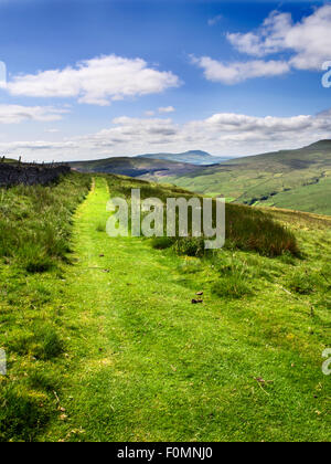 The Penine Bridleway below Great Knoutberry Hill with Ingleborough in the Distance Dentdale Yorkshire Dales Cumbria England Stock Photo