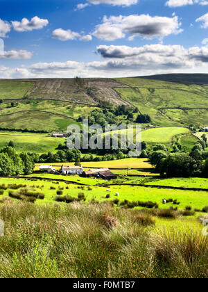 Farmland near Cowgill in Dentdale Yorkshire Dales Cumbria England