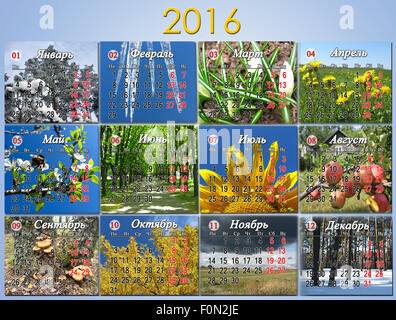 calendar for 2016 in Russian with photo of nature for every month. Calendar for office using Stock Photo