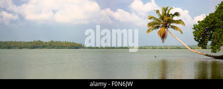 Back Waters in Kerala, India. Stock Photo