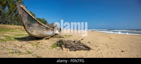 Fishing boat on the beach and palm trees in the background, Kerala, India 2010 Stock Photo