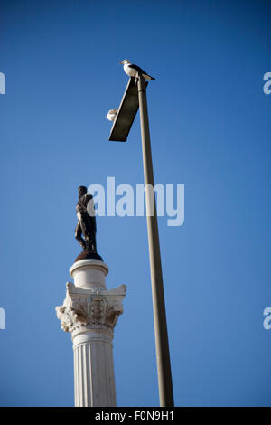 The top of the column bearing the statue of King Pedro IV of Portugal, located in the Rossio, Praca Dom Pedro IV, Lisbon and two Stock Photo