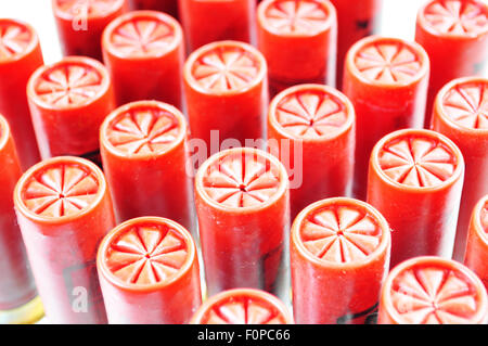 Group of shotgun shells isolated on white Stock Photo