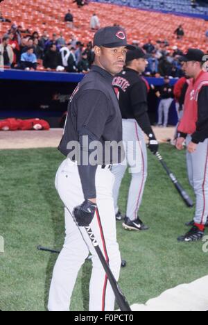 Griffey hi-res stock photography and images - Alamy