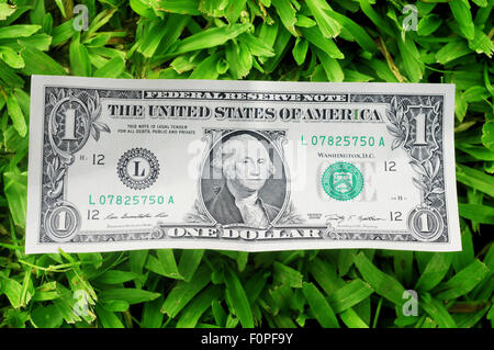 One dollar bill on a green lushly grass Stock Photo