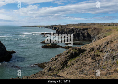 Iceland, West Iceland (aka Vesturland), Snaefellnes Peninsula. Arnarstapi (aka Stapi), bird cliffs nesting site along the coast. Stock Photo