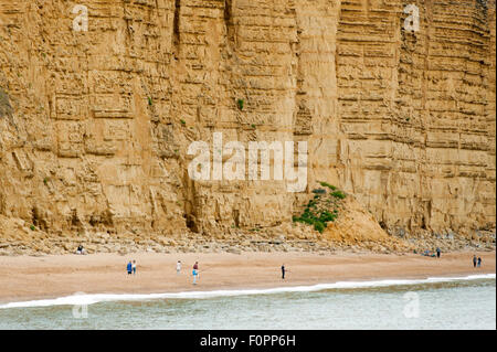 The cliffs of the 'Jurassic Coast' to the east of West Bay near the town of Bridport, Dorset, England, UK. Stock Photo
