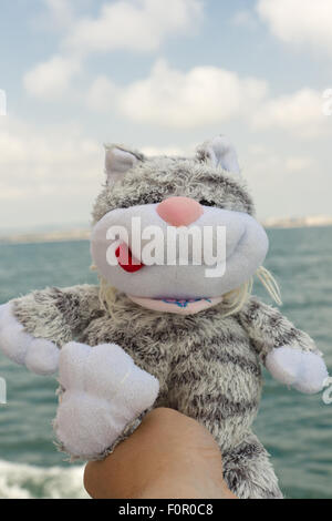 the plush cat travels by a ship by sea Stock Photo