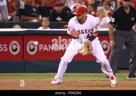 Anaheim, California, USA. 19th Aug, 2015. Kaleb Coward #41fields a hard grounder at third base in the game between the Chicago White Sox and Los Angeles Angels of Anaheim, Angel Stadium in Anaheim, CA, Credit:  Cal Sport Media/Alamy Live News Stock Photo