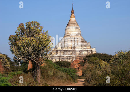 Pagoda, Temple, Bagan, Mandalay Division, Myanmar Stock Photo