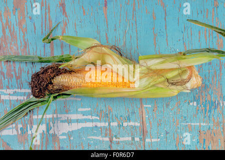 Bad rotten corn ear on rustic wooden table, undeveloped maize ear, top view Stock Photo