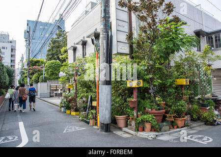 Street scene of Aoyama,Minato-Ku,Tokyo,Japan Stock Photo