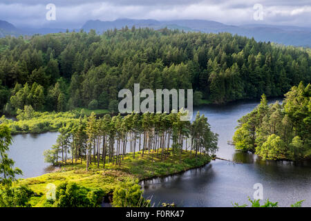 Tarn Hows in the English Lake District National Park Stock Photo