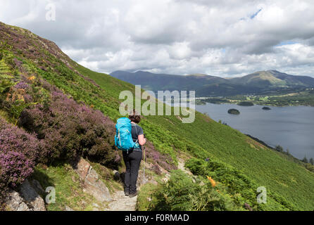 Walker Enjoying the View Across Derwent Water from the Lowers Slopes of Catbells Near Hause Gate, Lake District Cumbria UK Stock Photo