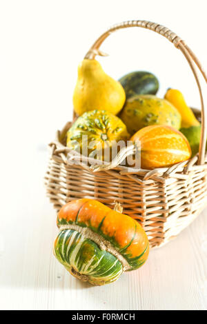 Decorative mini Pumpkins in basket on white background. Stock Photo