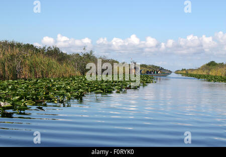 Airboat on tropical wetland in Everglades National Park in Florida Stock Photo