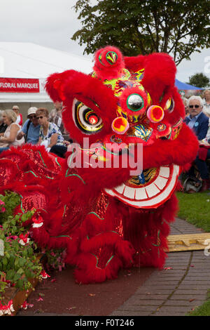 Southport, Merseyside, UK. 20th August, 2015. Britain’s biggest independent flower show, celebrates with a carnival-like celebration of all things Chinese and a traditional New Year red dancing dragon. Stock Photo