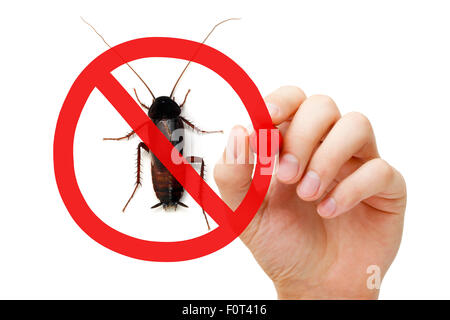 Cockroach with red prohibition sign on white background. Pest control ...