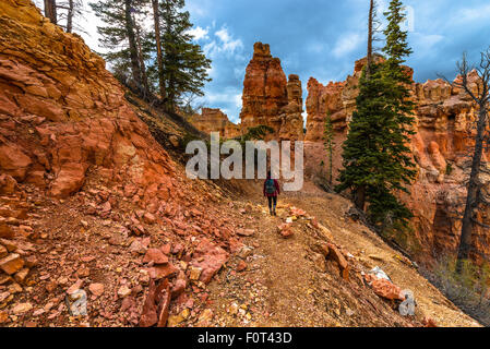 Woman Backpacker hiking down the Ponderosa Canyon Bryce National Park Stock Photo