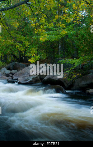 Maine's Penobscot River Corridor: Where Wilderness Adventures Await