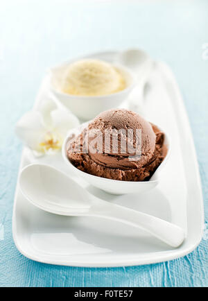 Chocolate and Vanilla Ice cream on white plate.
