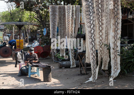 Snake skins, snakeskin hanging by the roadside, Mandalay, Division Mandalay, Myanmar Stock Photo