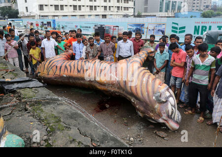 Dhaka, Bangladesh.  21 August 2015. The Royal Bengal Tiger mural placed in front of Suderban Hotel at Karwan Bazar intersection fell down and caused one unidentified rickshaw puller's death in the capital at around 4:00 am on early Friday morning. Stock Photo