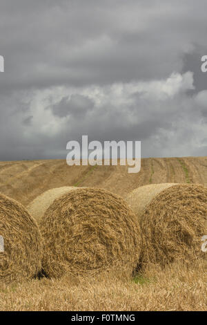 Hay / straw bales and stubble field after harvested cereal crop. Focus on lower third of image. Metaphor food security / growing food, farm subsidies. Stock Photo