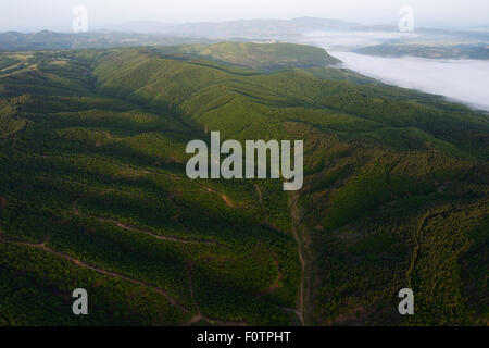 Aerial view over the Arda river canyon, Madzharovo, Eastern Rhodope Mountains, Bulgaria, May 2013. Stock Photo