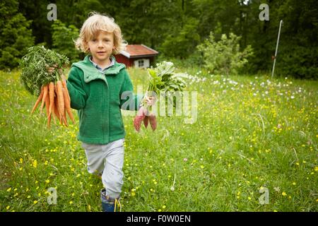 Portrait of boy carrying bunches of carrots across garden Stock Photo