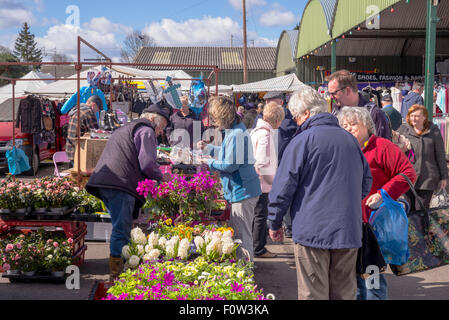 Colourful and busy with shoppers at the outdoor weekly market stalls in the small Staffordshire town of Penkridge Stock Photo