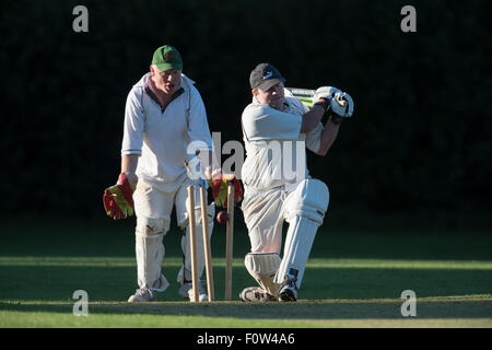 Cricket, batsman in action Stock Photo