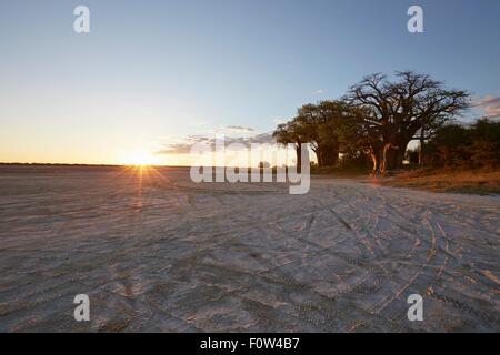 Nxai Pan National Park at sunset, Kalahari Desert, Africa Stock Photo