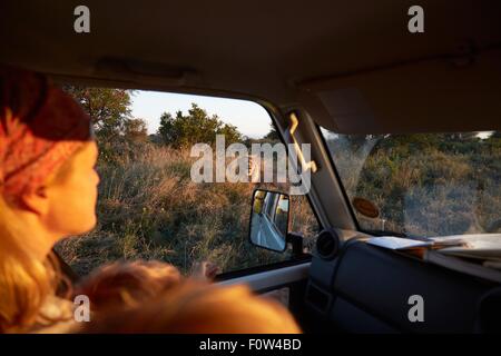 Woman travelling in vehicle, Nxai Pan National Park at sunset, Kalahari Desert, Africa Stock Photo