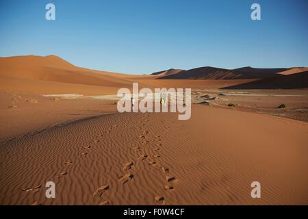 Boys walking on sand dune, Namib Naukluft National Park, Namib Desert, Sossusvlei, Dead Vlei, Africa Stock Photo