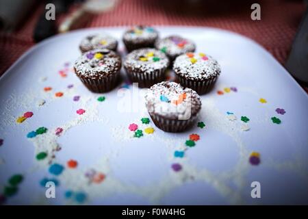 Chocolate muffins on tray Stock Photo