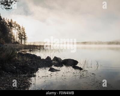 Silhouetted rocks and reeds on misty lakeside at sunrise, Orivesi, Finland Stock Photo