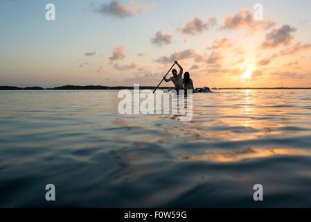 Silhouetted view of three adult friends on paddleboard at sunset, Islamorada, Florida, USA Stock Photo