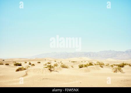 View of Mesquite Dunes, Death Valley, California, USA Stock Photo