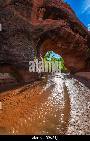 Beautiful Natural Arch in Coyote Gulch Escalante National Stock Photo