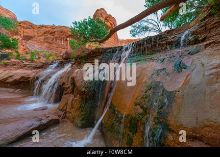 Beautiful Waterfall on Coyote Gulch Trail Escalante National Utah Stock Photo