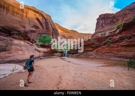 Walking towards the waterfall Girl Hiker in Coyote Gulch Escalante Stock Photo