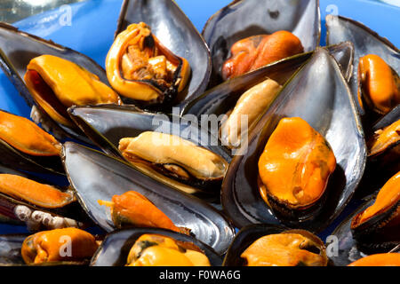 Mussels steamed just for eating in a blue dish Stock Photo