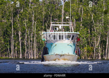 Shrimp Boat plowing through the water in Crystal River Florida in King's Bay Stock Photo