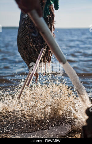 Hosing down a clam bag that is being hoisted out of the Gulf of Mexico in Cedar Key Florida on a boat Stock Photo