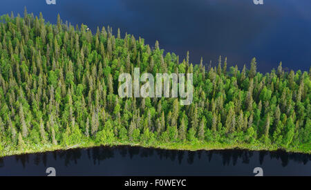 Aerial view taiga boreal forest surrounded by water, Sjaunja Bird Protection Area, Greater Laponia Rewilding Area, Lapland, Norrbotten, Sweden, June 2013. Stock Photo