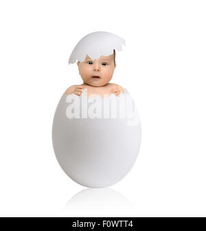 one white egg with newborn baby, on grey background, hatching Stock Photo
