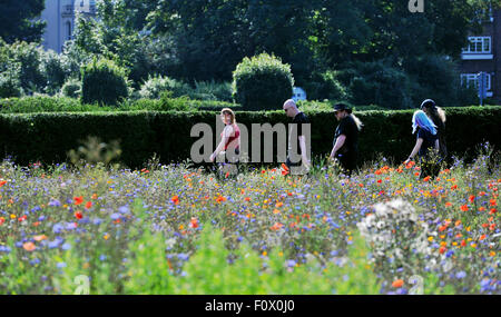 Brighton, UK. 22nd August, 2015. Visitors enjoy the hot weather in the Wild Flower Meadow in Brighton's Preston Park this morning with temperatures forecast to reach over 30 degrees Stock Photo